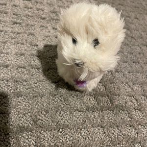 American Girl Westie Dog "Coconut"